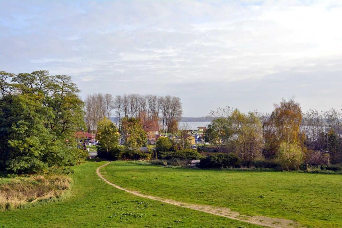 Reetdachhaus Im Fischerdorf Freest Dış mekan fotoğraf